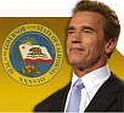 ALL ARNOLD ALL THE TIME